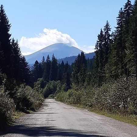 Говерлянка Βίλα Vorokhta Εξωτερικό φωτογραφία