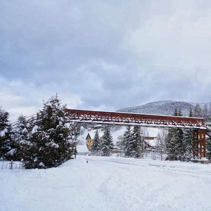 Говерлянка Βίλα Vorokhta Εξωτερικό φωτογραφία